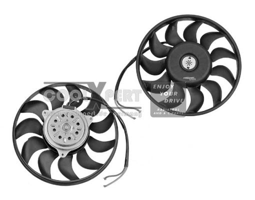 BBR AUTOMOTIVE ventiliatorius, radiatoriaus 002-60-08021